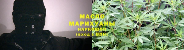 сатива Магас