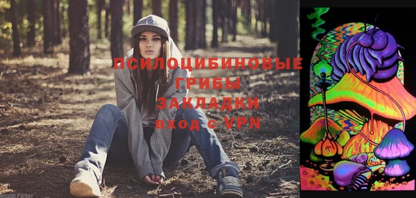 дурь Медногорск