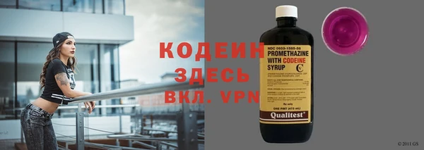хмурый Мегион