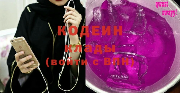 хмурый Мегион