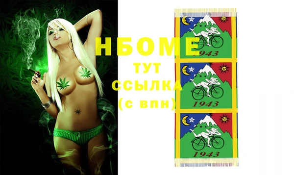 хмурый Мегион